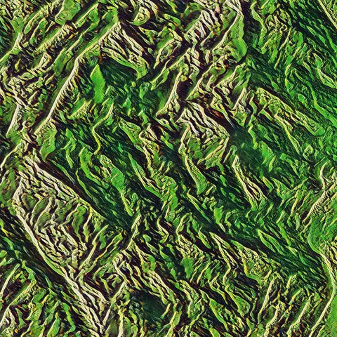 0005