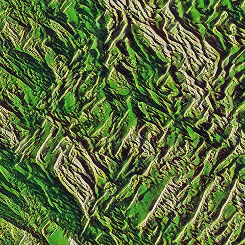 0006